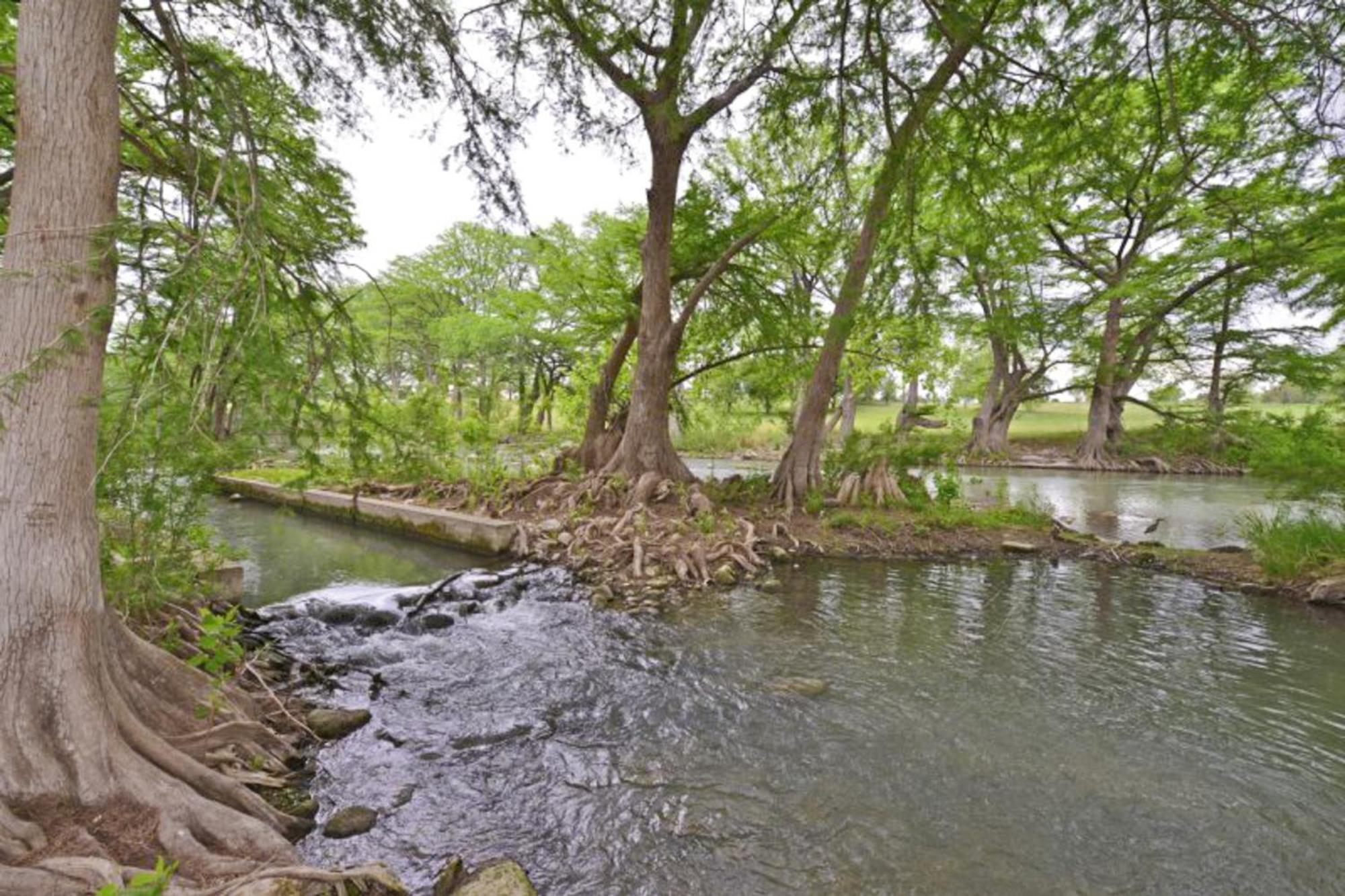 Water Wheel Resort Condo Resort 新布朗费尔斯 客房 照片